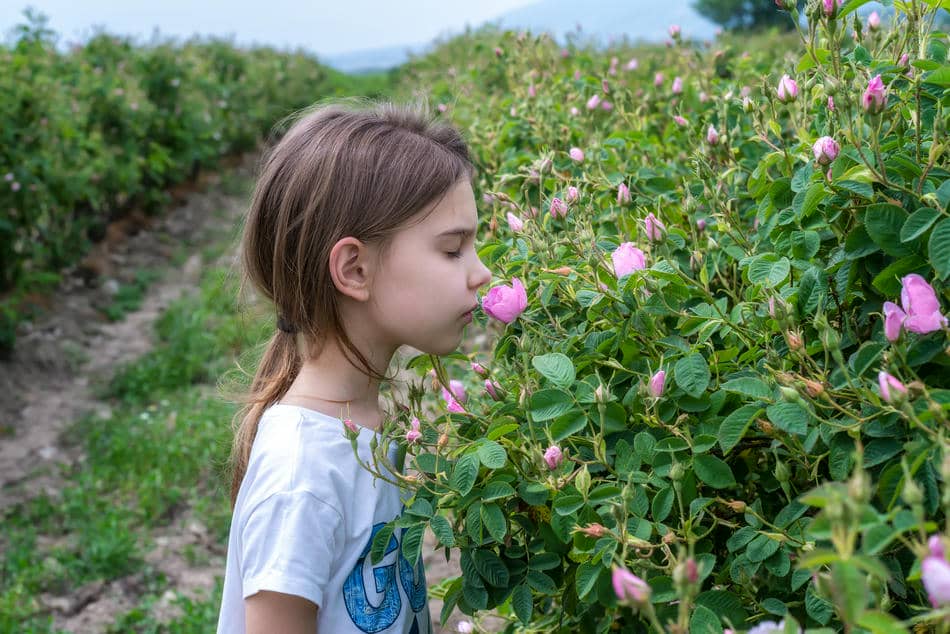 Young girl smelling pink flowers in a garden, completely absorbed in a simple moment of curiosity and wonder.