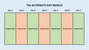 Intermittent Fasting: The Complete Guide You Need