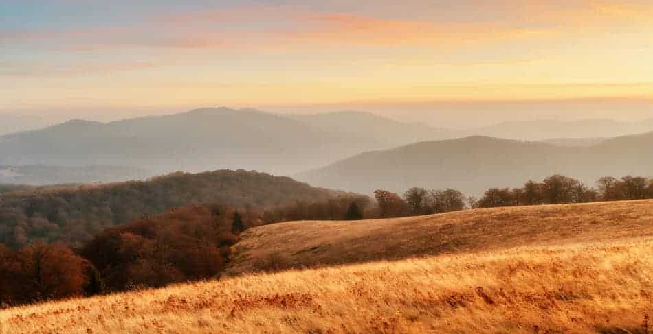 Golden countryside field at sunrise with soft light stretching across rolling hills