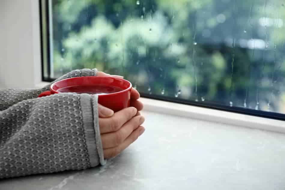 Hands wrapped around a warm mug beside a window in a quiet moment of awareness.