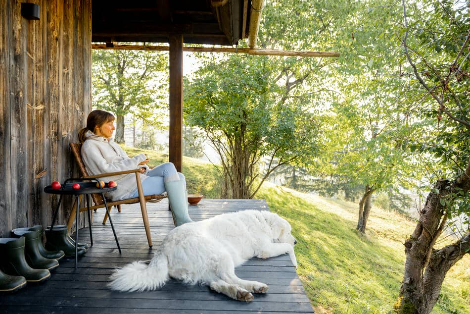 Person relaxing on a quiet porch beside a sleeping white dog, enjoying a peaceful moment surrounded by nature.