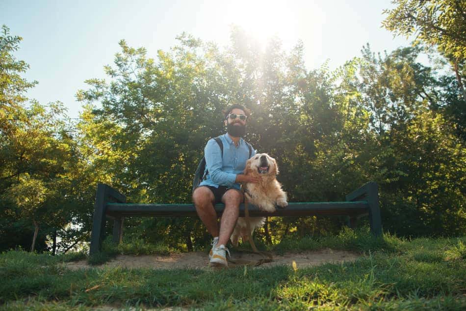 Person sitting on a park bench with a dog, enjoying a quiet everyday moment.
