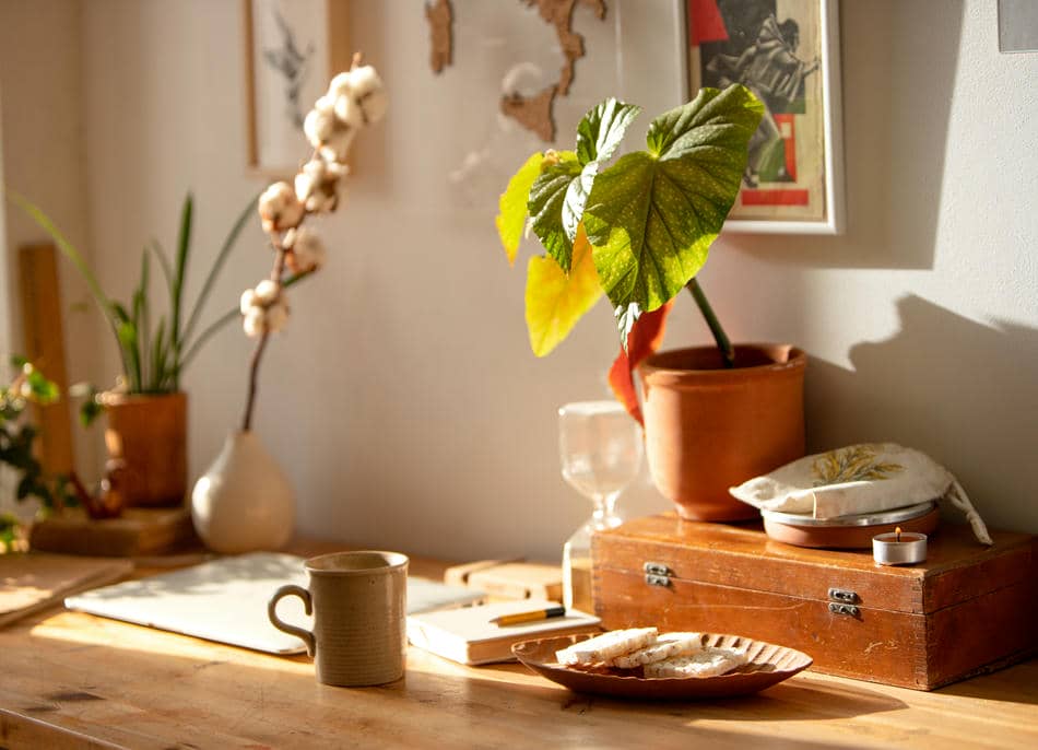 Warm sunlit creative space with notebook, coffee, and plants symbolizing calm routines and quiet alignment