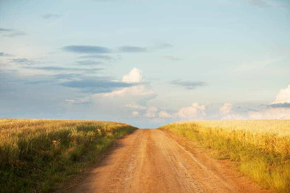 A soft dirt road stretching through open fields in gentle light, symbolizing quiet progress and forward movement