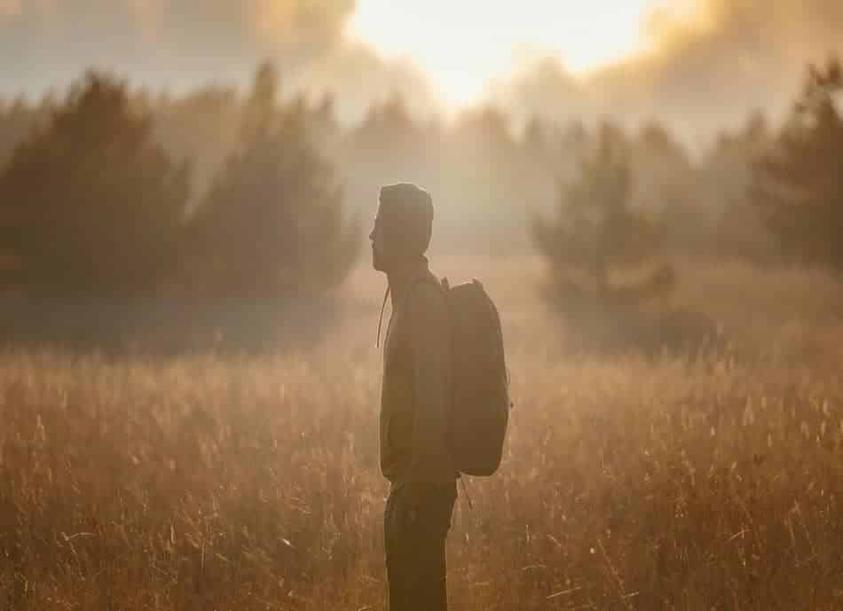 Person standing quietly in a golden field at sunrise surrounded by soft natural light