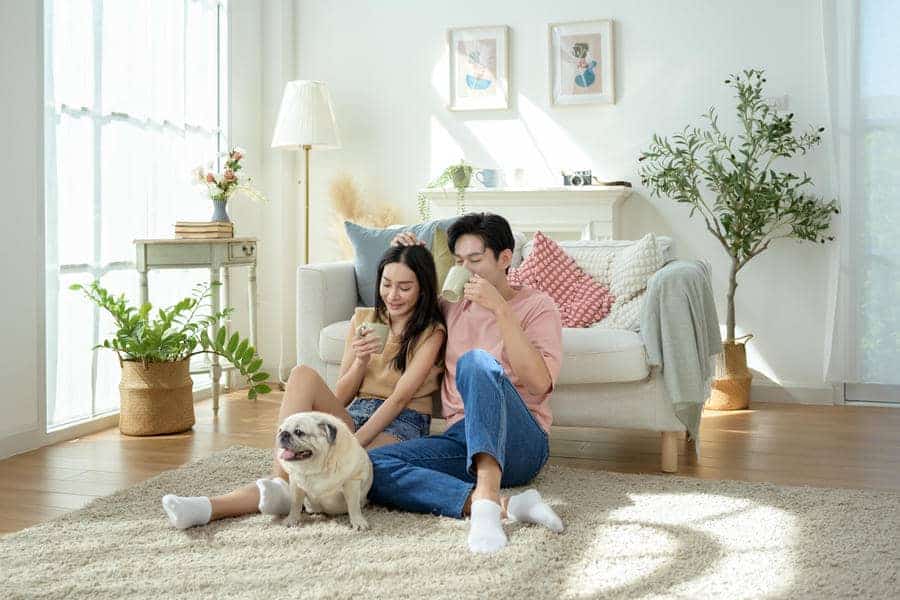 Warm afternoon light filling a calm interior space, suggesting a quiet, reflective moment of appreciation.