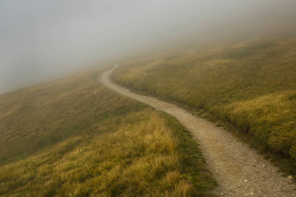 Winding path disappearing into soft fog across an open landscape